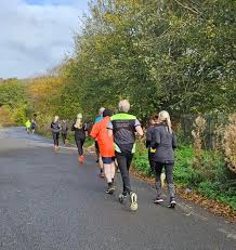 Image result for Cobra Running Club