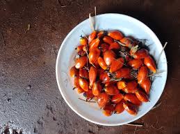 Attēlu rezultāti vaicājumam “Pulsatilla pratensis fruit”