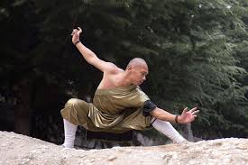 Image result for kung fu