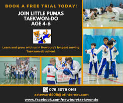 Image result for Newbury TAGB Tae Kwon-Do (Juniors)