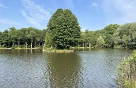 Image result for Henlow Anglo-Usa