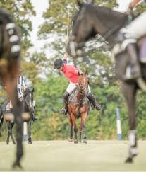 Image result for Cambridge and Newmarket Polo Club