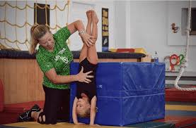 Image result for Tessaro Gymnastics Club