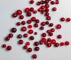 Attēlu rezultāti vaicājumam “Oxycoccus fruit”