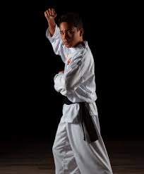 Image result for Silat Pd (Perisai Diri) UK