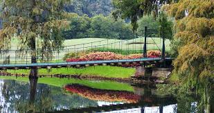 Image result for Lakeside Country Club Indoor Bowls Rink