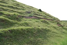 Image result for example