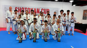 Image result for Shitokai Karate Club