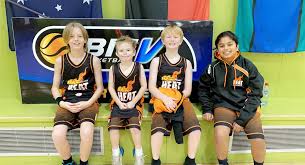 Image result for Henfield Heat Basketball Club