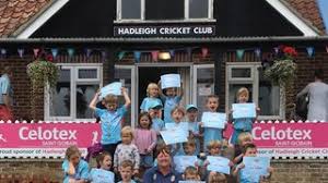 Image result for Hadleigh Cricket Club