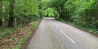 Image result for Bidborough Cc