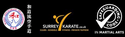 Image result for Haslemere Shotokan Karate Club