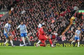 Image result for Liverpool Lizards Speedminton Club