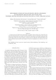 Attēlu rezultāti vaicājumam “Erysimum hieracifolium fruit”