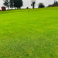 Image result for Carmarthen Golf Club