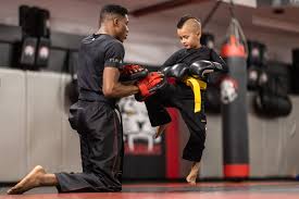 Image result for North West Chinese Kickboxing