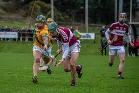 Image result for Causeway Hurling Club
