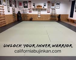Image result for Budo Warrior Schools
