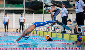 Image result for Swansea Finswimming Club