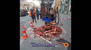 Image result for dipperfox tehron