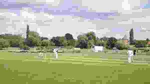 Image result for Milton Cricket Club