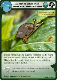 Attēlu rezultāti vaicājumam “Succinea”