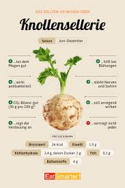 Image result for Sellerie