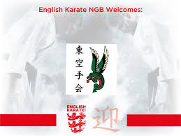Image result for Twyford Higashi Karate Club
