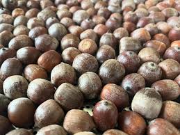 Attēlu rezultāti vaicājumam “Cardamine impatiens fruit”