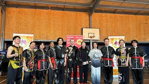 Image result for Wushu Tai Chi Club