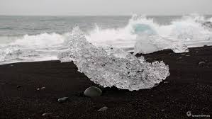 Image result for Ildblomkarse