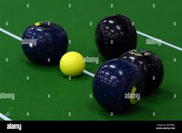 Image result for Centenary Short Mat Bowling Club