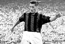 Resultado de imagen para schiaffino