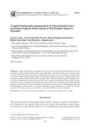 Attēlu rezultāti vaicājumam “Badhamiopsis scripta sessile”