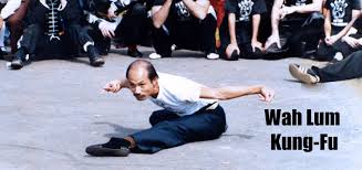 Image result for Chat Ying Kuen Kung Fu Club