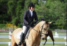 Image result for Old Park Riding Stables