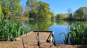 Image result for Woking & District Angling Association