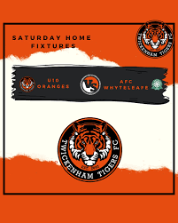 Image result for Mayford Athletic Football Club