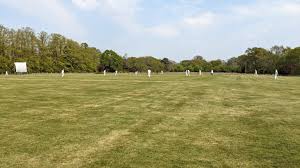 Image result for Bashley (Rydal) Cricket Club
