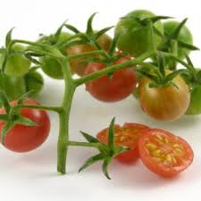 Afbeeldingsresultaat voor hawaiian white cherry tomato