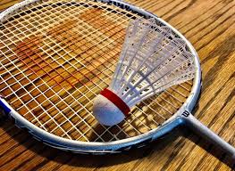 Image result for Shaftesbury (Pirbright) Badminton Club
