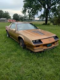 Image result for Coronet Gold 1982 Jaguar