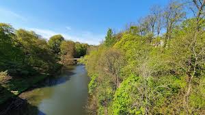 Image result for St Rollox Bowling Club