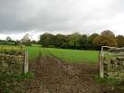 Trustee Wood. Small tract of woodland about half a mile west of Shaw Mills - via Daymix