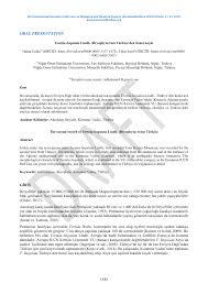 Attēlu rezultāti vaicājumam “Tortula lingulata”