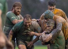 Image result for Winchester Rugby Football Club Ltd