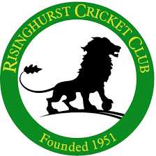 Image result for Minster Lovell Cricket Club