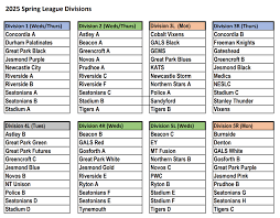 Image result for Astley Netball Club