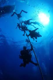 Image result for Seaham Sub Aqua Club