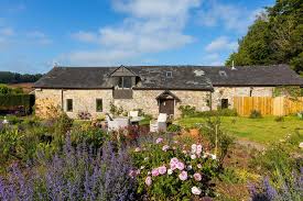 Image result for Newton Abbott Knights